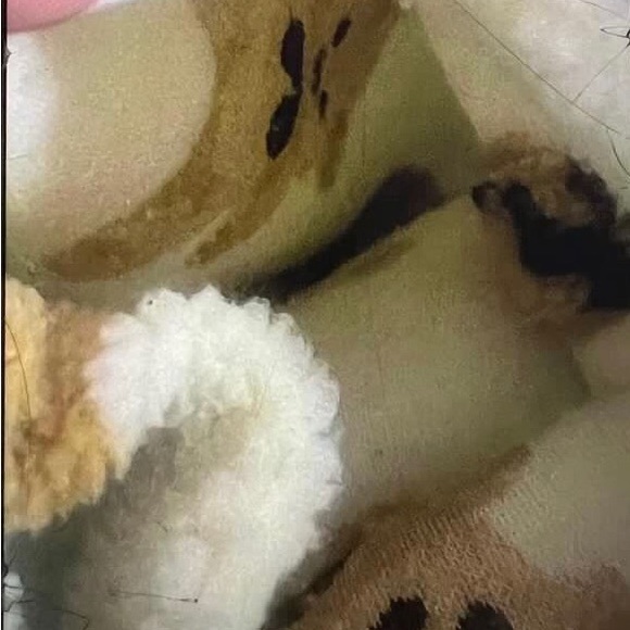 Teddy bear tote 🧸 - Picture 3 of 3